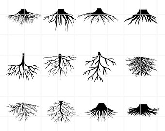 May include: A set of twelve black silhouette illustrations of tree roots. The roots are shown in various shapes and sizes, with some branching out more than others.