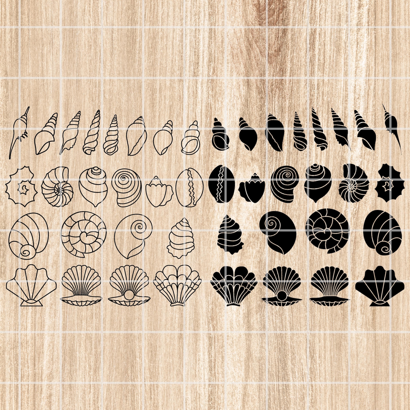 Seashell Vector Svg Seashell SVG, PNG, AI Clipart Set. Vector Illustration Cut Files ...