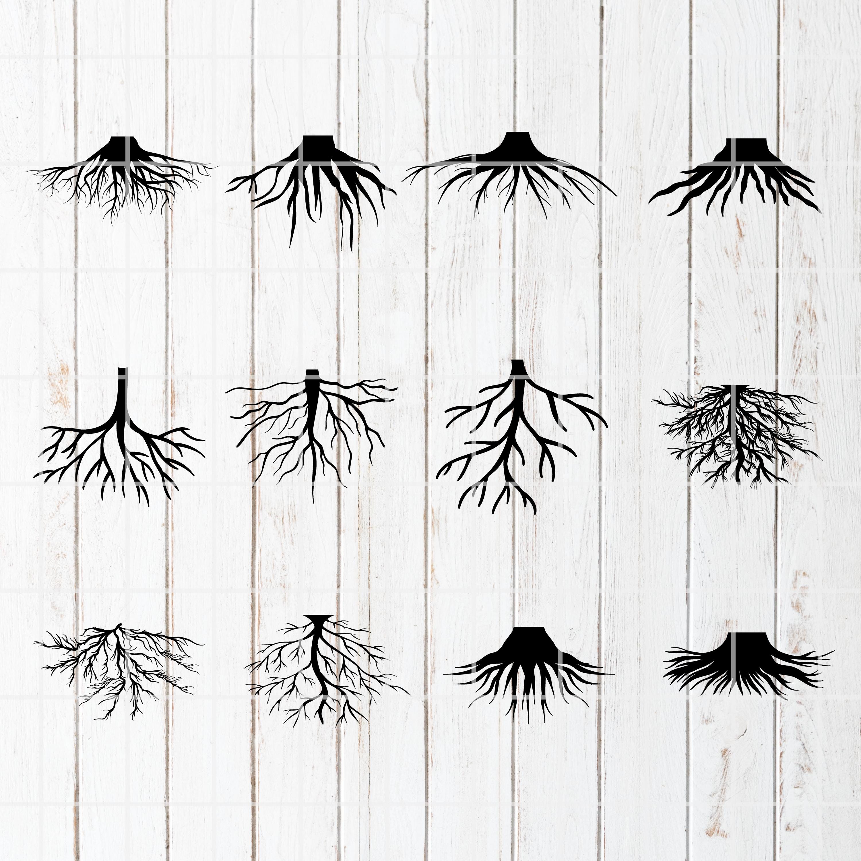 Roots SVG Bundle, Roots SVG, Roots Clipart, Roots Cut Files for ...
