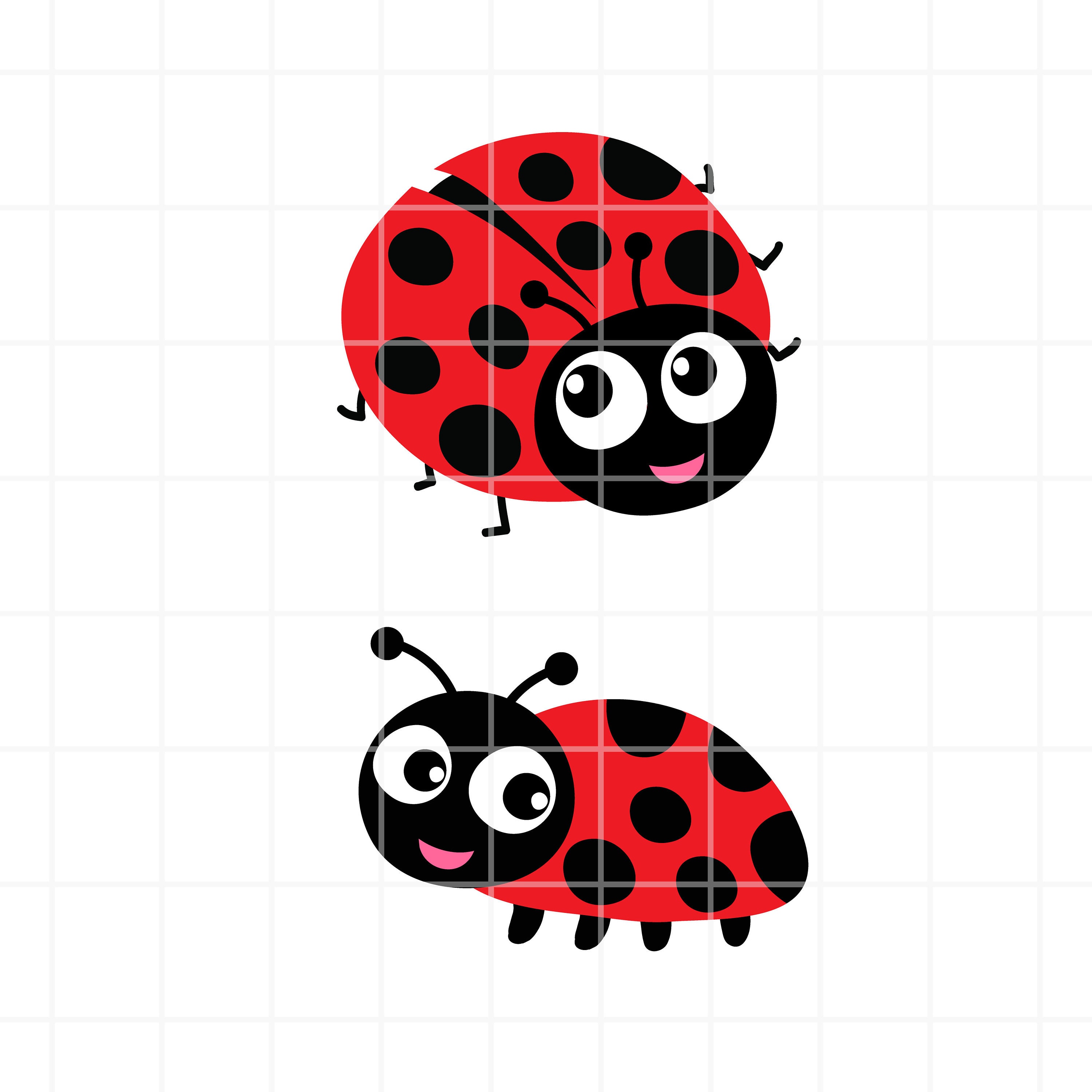 Ladybug SVG & Png File Lady Bug Clip Art Vector Image SVG 