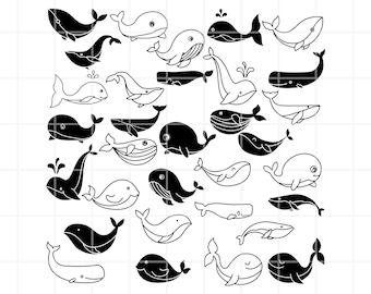 Baby Whale SVG, PNG, AI, Clipart Bundle. Vector Cut files (Digital Download)