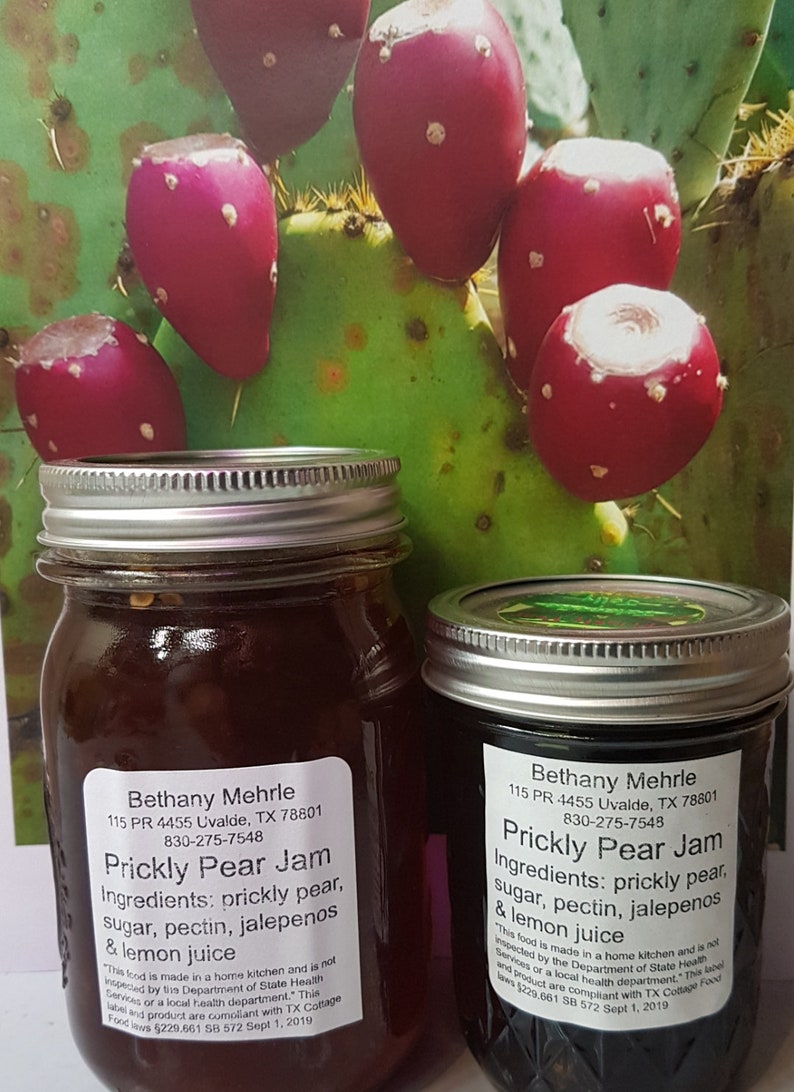 Prickly Pear Cactus & Jalapeno Jelly MEDIUM WITH Seeds Etsy