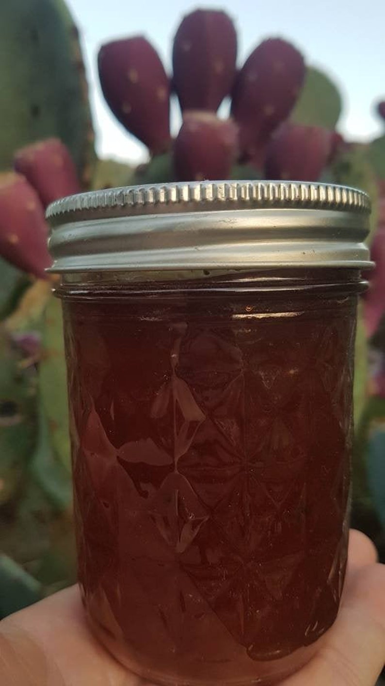 Prickly Pear Cactus & Jalapeno Jelly MILD Etsy