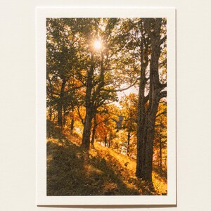 Cartolina di vita di campagna Fotografia di paesaggio lituano