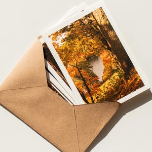 Regalo per gli amanti della natura Cartolina con paesaggio lituano