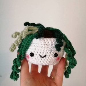 Crochet hanging plant