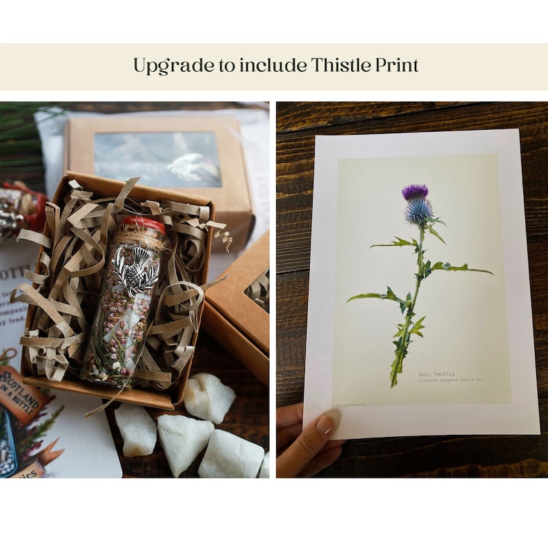 Puede incluir: Una peque&ntilde;a botella de vidrio llena de flores secas y un amuleto de cardo plateado. La botella est&aacute; en una caja marr&oacute;n con papel triturado. Una impresi&oacute;n de una flor de cardo p&uacute;rpura con hojas verdes sobre un fondo blanco. La impresi&oacute;n tiene el texto "Cardo com&uacute;n Cirsium vulgare (Savi) Ten".