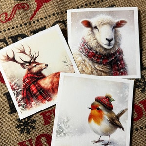 Lot de 3 cartes de Noël écossaises de LUXE, animaux mignons, carte mouton, rouge-gorge et cerf, animaux uniques en écharpes, cadeau de Noël