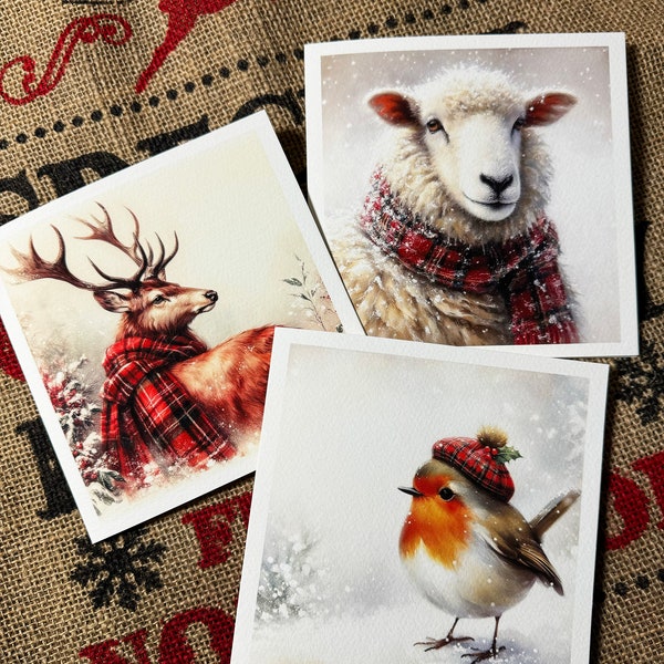 LUXURY Scottish Christmas Cards 3 DESIGNS Cute Animals Scotland Card Sheep, Robin & Stag Unique Animals in Scarves Christmas Gift Multi-buy