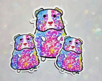 Guinea Pig Sticker, Cage Decoration, Guinea Pig Gifts, Rainbow Laptop Stickers, Kawaii Animal Stickers, Guinea Pig Party, Vinyl Sticker Cute