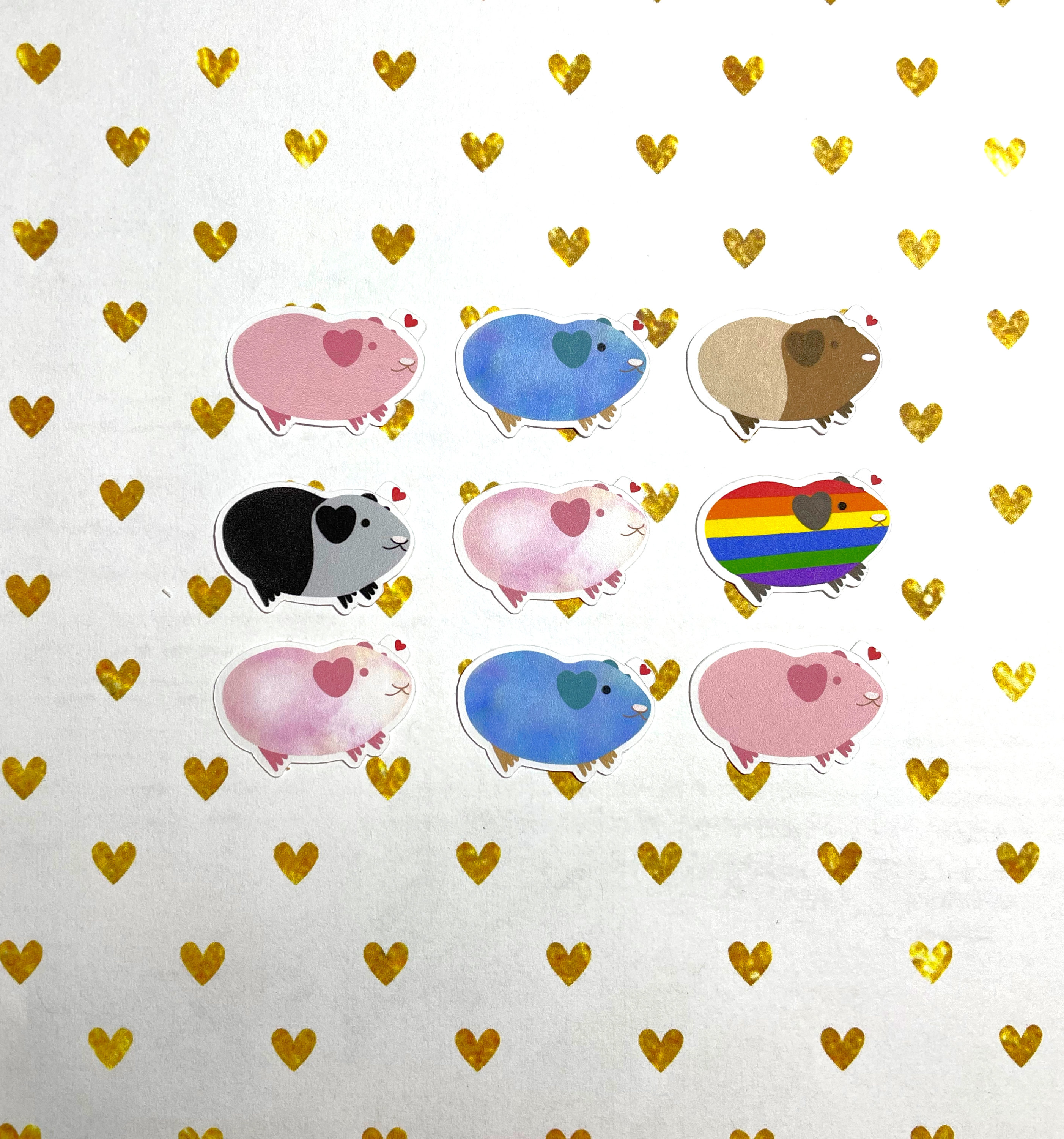 Guinea Pig Valentine Card Set of 18, Valentine's Day Gift, Gift for ...