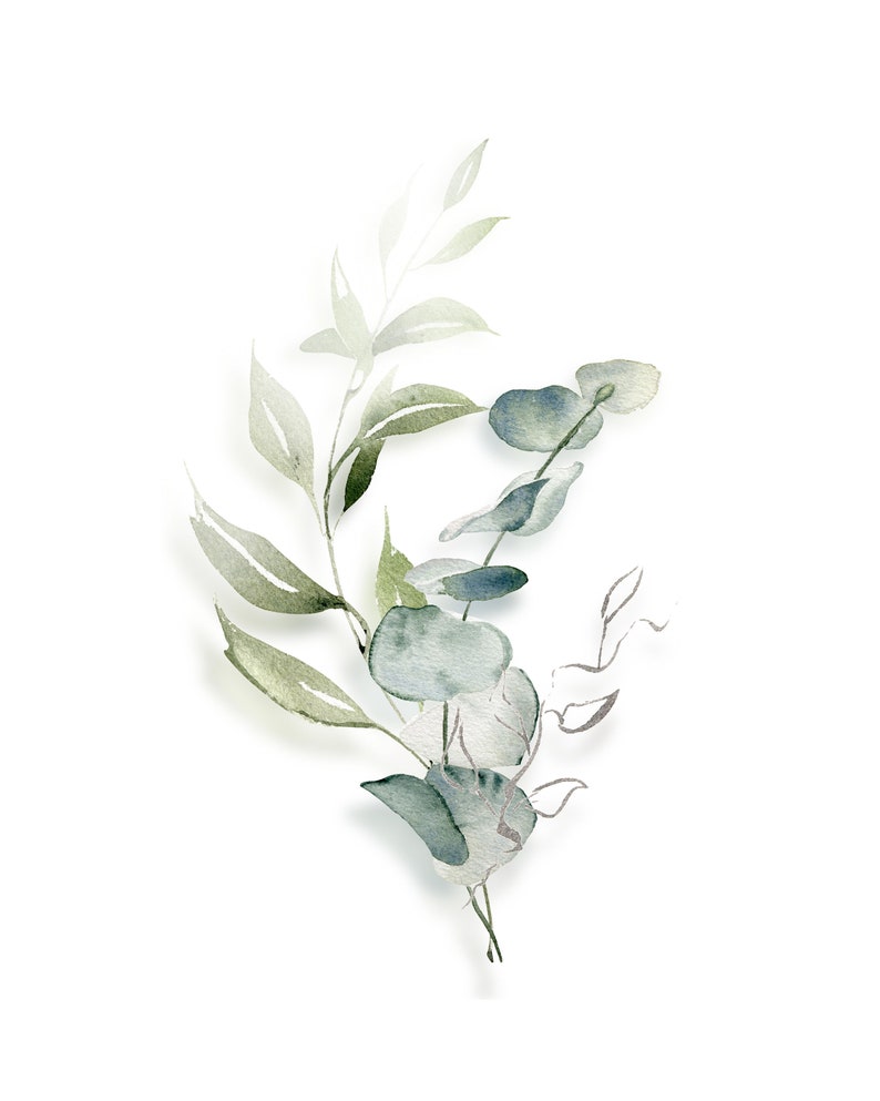 Printable Botanical Wall Art Set of 3 Etsy