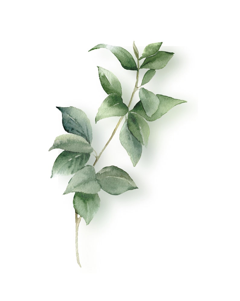 Printable Botanical Wall Art Set of 3 Etsy