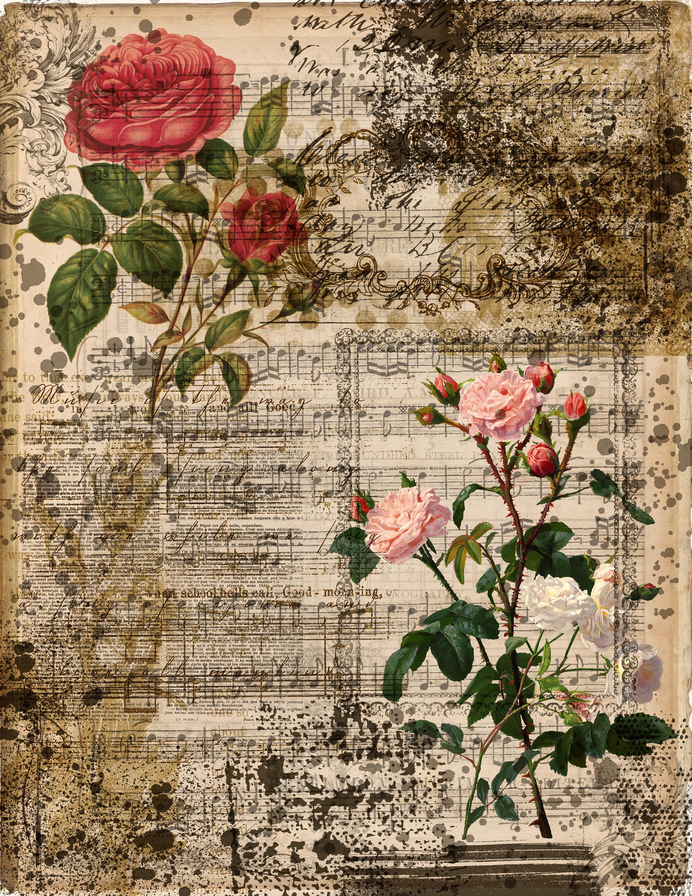 Antique Roses Printable Papers, Rose Tags, Digital Download, Vintage ...