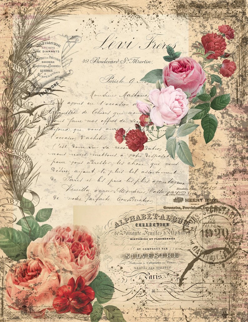 May include: A vintage floral design with pink and red roses, green leaves, and a handwritten text overlay. The text includes the words "Levi Fr&egrave;res" and "Parisle 9".