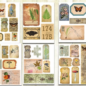 Spring Nature Junk Journal Ephemera Scraps, Spring Journal Ephemera, Nature Scraps, Fussy Cut Digital Download, Afdrukbare Journal Scraps.