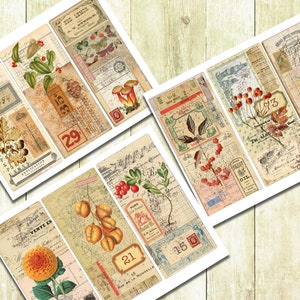 May include: Six vintage style printable journal cards with floral and botanical illustrations. The cards feature numbers, text, and a variety of colors, including red, green, yellow, and brown.