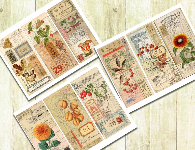 May include: Six vintage style printable journal cards with floral and botanical illustrations. The cards feature numbers, text, and a variety of colors, including red, green, yellow, and brown.
