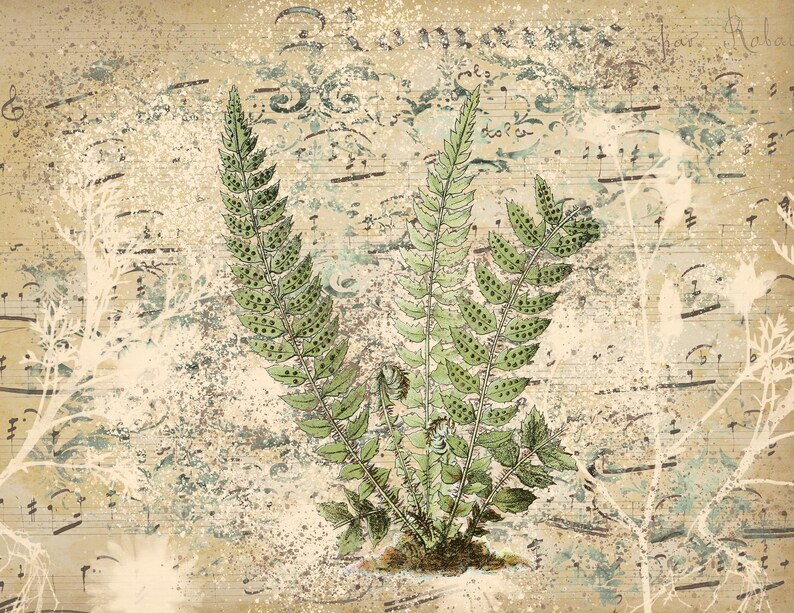 May include: A vintage illustration of a fern plant with green leaves and brown stems on a beige background with musical notes and faded white floral designs.