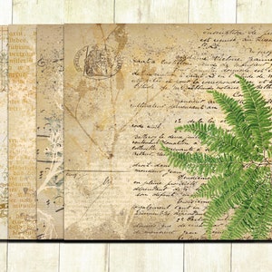 May include: A vintage-style background with faded text and a fern plant. The text includes the words "Santa Cav" and "Vielone".