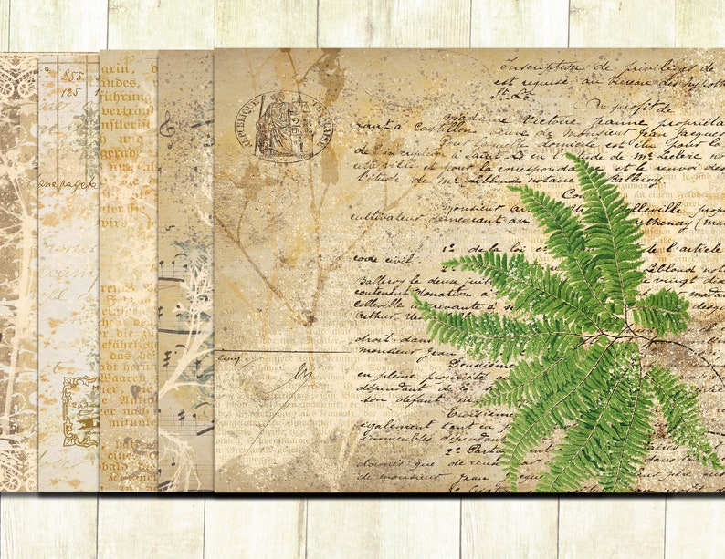 May include: A vintage-style background with faded text and a fern plant. The text includes the words "Santa Cav" and "Vielone".