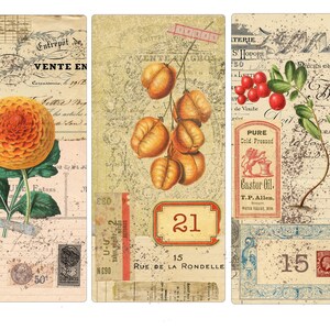 May include: Three vintage-style cards with a distressed background. The first card features a yellow flower with orange petals and green leaves. The second card features a branch of brown seed pods. The third card features a green plant with red berries and a label that reads "PURE Cold Pressed Castor Oil. T.P. Allen."
