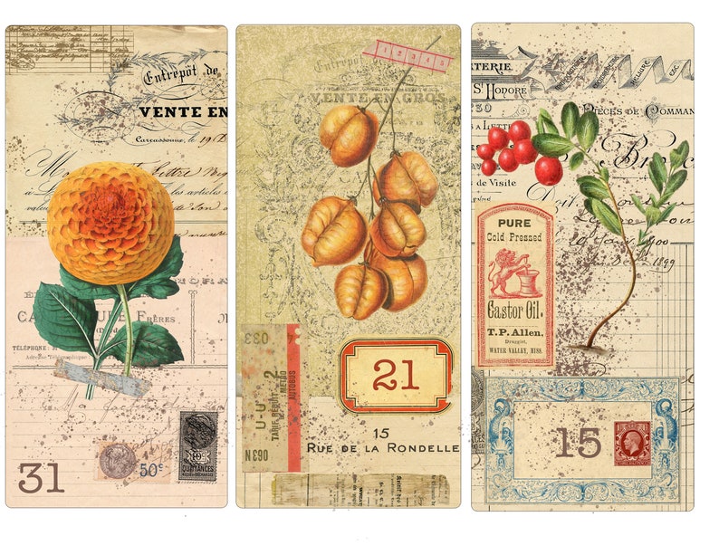 May include: Three vintage-style cards with a distressed background. The first card features a yellow flower with orange petals and green leaves. The second card features a branch of brown seed pods. The third card features a green plant with red berries and a label that reads "PURE Cold Pressed Castor Oil. T.P. Allen."