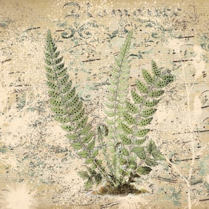 May include: A vintage illustration of a fern plant with green leaves and brown stems on a beige background with musical notes and faded white floral designs.