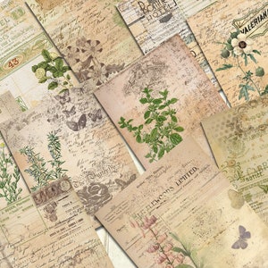 papiers éphémères à base de plantes vintage, papiers de journal de pacotille d’herbier, téléchargement numérique, papiers de scrapbook botaniques, papiers de journal imprimables.