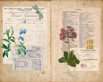 Flower Journal Pages,digital Download, Vintage Flowers, Printable Journal Papers, Scrapbook Papers, Vintage Floral Papers, Instant Download. - Etsy Flower Journal Pages,digital Download, Vintage Flowers, Printable Journal Papers, Scrapbook Papers, Vintage Floral Papers, Instant Download. - Etsy