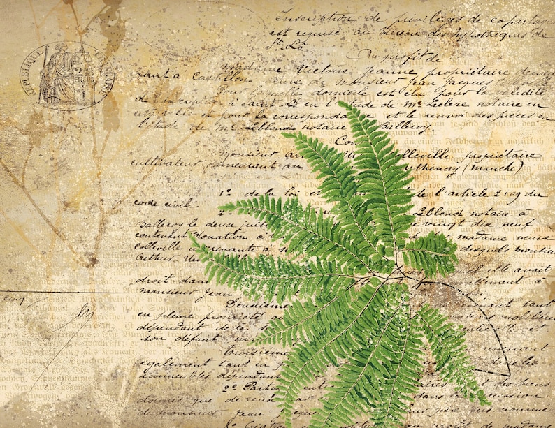 May include: A vintage, aged paper background with handwritten text in French. The paper is faded and has a distressed look. A green fern plant is in the lower right corner of the image.