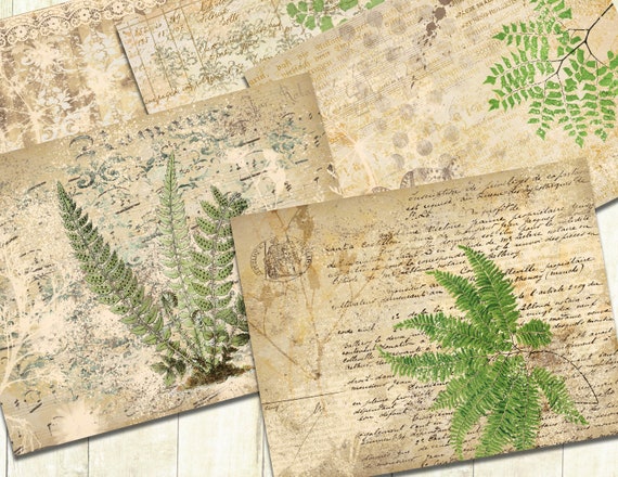 Vintage Ferns, Plant Journal Papers, Nature Journal Papers, Botanical Journal, Digital Download.