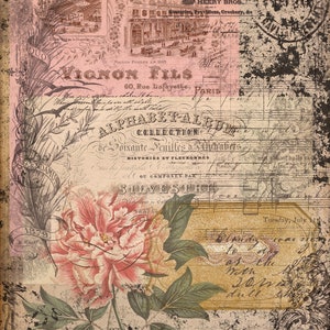 May include: A vintage-style image with a floral design, featuring a large pink peony flower with green leaves. The background includes a faded, textured paper with handwritten text in French, including the words "Alphabet Album" and "Vignon Fils".