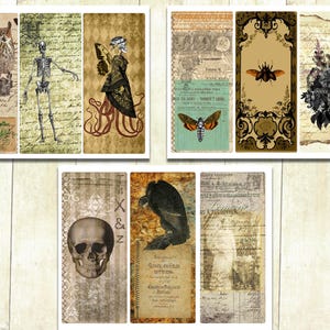 Cartes de journalisation effrayantes d'Halloween, téléchargement numérique.