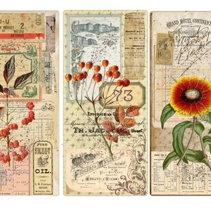 May include: Three vintage style digital scrapbook paper designs featuring a red berry branch, a fall leaf branch, and a red and yellow flower. The papers have a distressed, aged look with text and numbers.