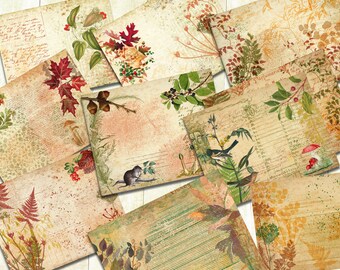 May include: A set of 12 digital papers featuring vintage botanical illustrations with an autumn theme. The papers have a distressed, aged look and feature images of leaves, berries, mushrooms, birds, and a mouse. The papers are perfect for scrapbooking, card making, and other paper crafts.