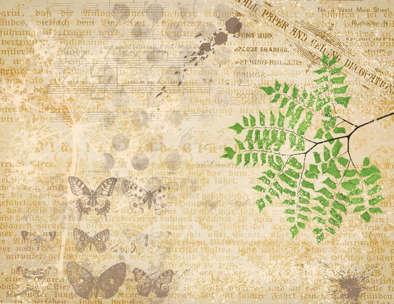 May include: A vintage background with a faded newspaper clipping and a branch of green leaves. The newspaper clipping has text about paper and ceiling decorations. The background is a light beige color with brown and white spots.