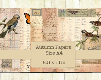 Papeles de diario basura de otoño, tamaño A4, papeles de diario basura vintage, descarga digital, pájaros y plantas de otoño, papeles imprimibles.
