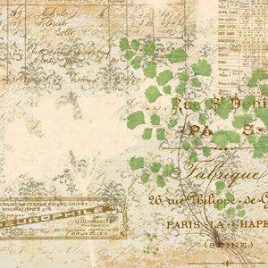 May include: A vintage-style image with a faded background and handwritten text. The text includes the address "Rue St Denis, 13 Paris" and the name "Fabrique". The image also features a green plant with leaves and a small label that reads "Neurophille".
