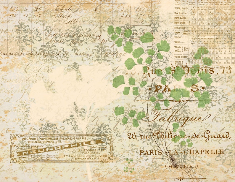 May include: A vintage-style image with a faded background and handwritten text. The text includes the address "Rue St Denis, 13 Paris" and the name "Fabrique". The image also features a green plant with leaves and a small label that reads "Neurophille".