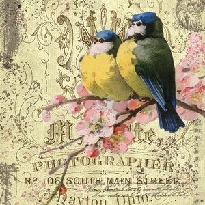 Vintage Garden Birds Junk Journal papers, Digital Download, Printable Papers, Bird Journal Papers, Scrapbook Papers, vintage Birds Papers.