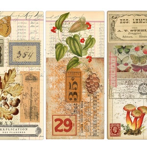 May include: Three vintage style bookmarks with a collage of images including butterflies, acorns, leaves, pine cones, mushrooms, and numbers. The text "ESS: LEMON. A. T. STEELE, Druggist, Ashmore, Illinois." is on one bookmark.