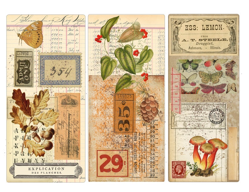May include: Three vintage style bookmarks with a collage of images including butterflies, acorns, leaves, pine cones, mushrooms, and numbers. The text "ESS: LEMON. A. T. STEELE, Druggist, Ashmore, Illinois." is on one bookmark.
