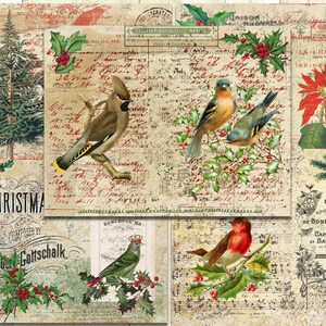 Vintage Christmas Birds Junk Journal Papers, Digital Printable, Birds ...