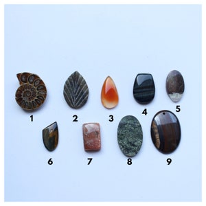 May include: Nine different gemstone cabochons, including a fossilized ammonite, a leaf-shaped stone, a red carnelian, a black tiger's eye, a gray and white stone, a brown tiger's eye, a sunstone, a green and black stone, and a brown and black stone.