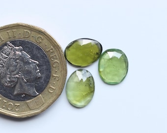 Tourmaline Gemstone, AAA+++ Natural Green Tourmaline Rose Cut Faceted 3 Pcs Cabochon Lot, Loose Tourmaline, Faceted Jewelry Supply, 9To9.5MM