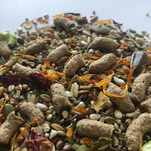 500g Gerbil Food Mix with Pellets | Robin&#39;s Fortified Gerbil Food Mixes
