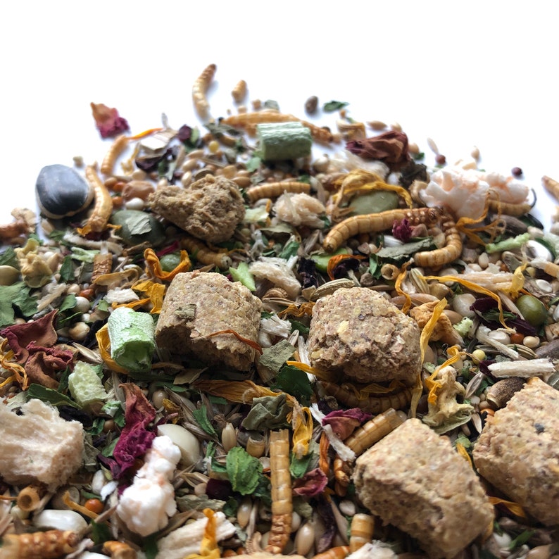 500g Roborovski Dwarf Hamster Food Mix With Pellets Etsy