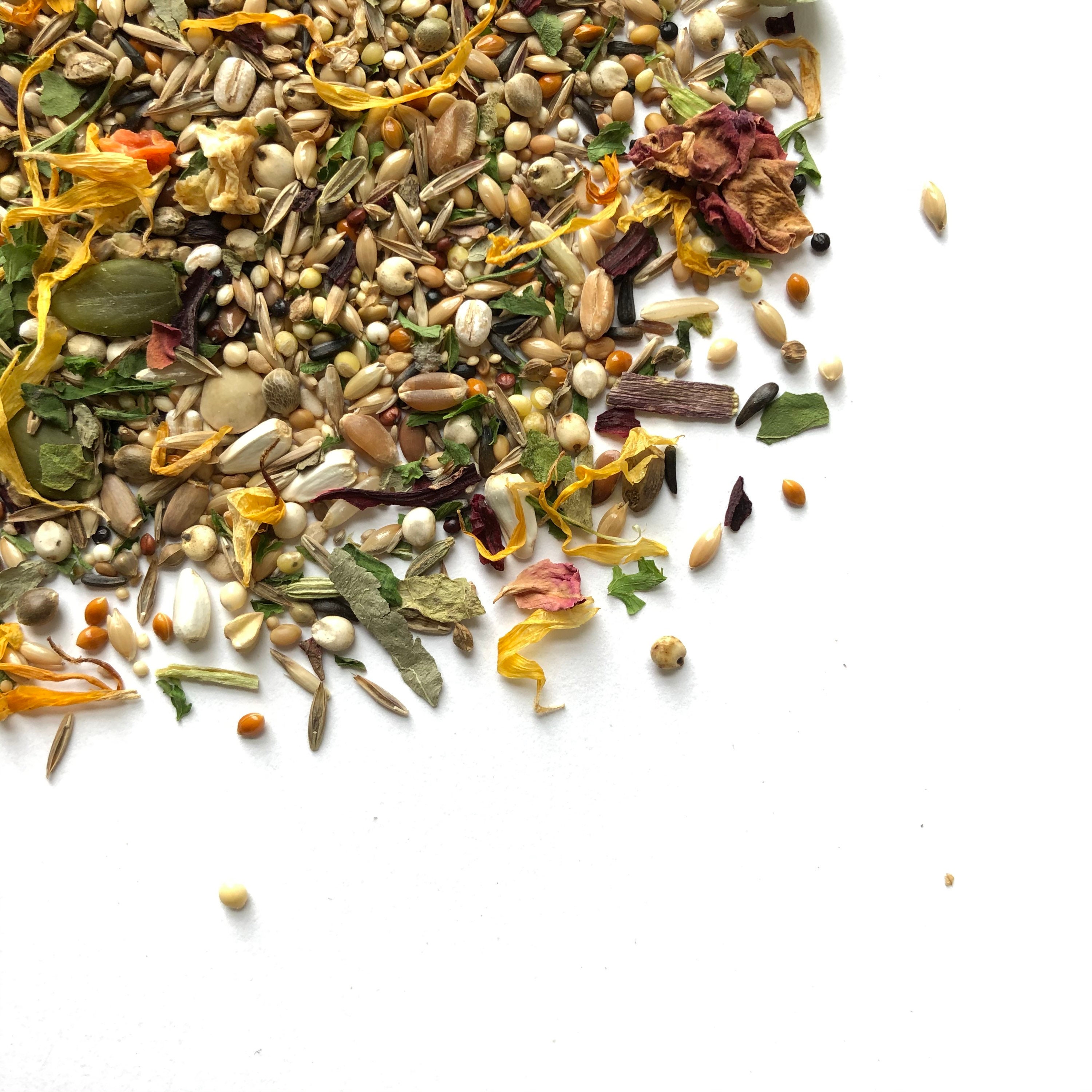 500g Basic Roborovski Dwarf Hamster Food Mix Robin's Etsy