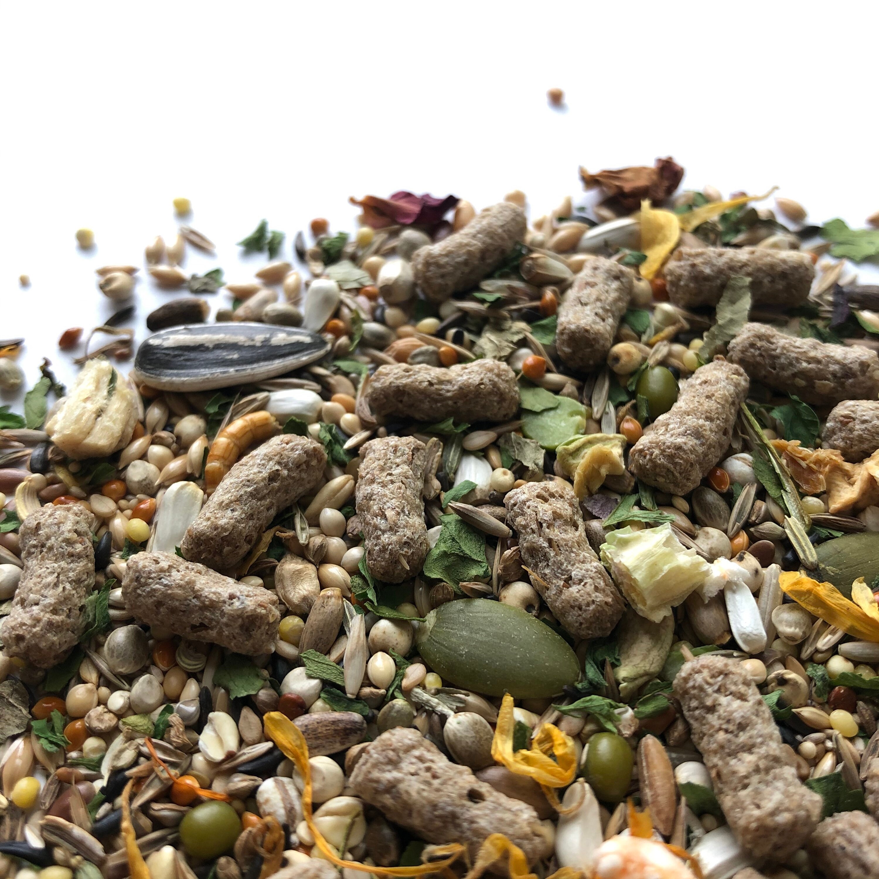 russian dwarf hamster diet